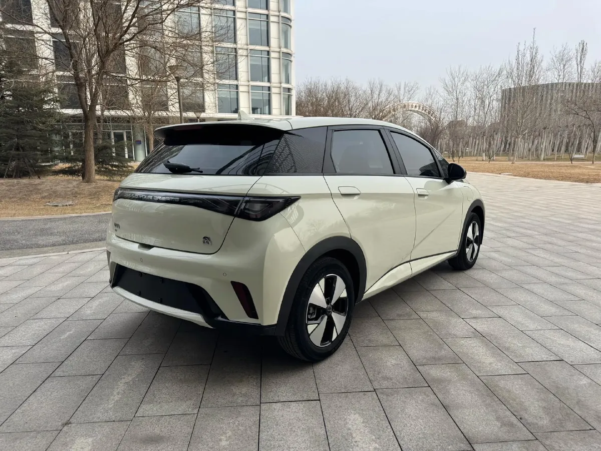 2023 BYD Dolphin BEV 44.928KWH,autocango,china used car exporter,china ev exporter,chinese used car exporter,chinese used ev exporter
