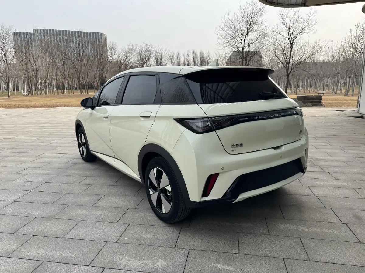 2023 BYD Dolphin BEV 44.928KWH,autocango,china used car exporter,china ev exporter,chinese used car exporter,chinese used ev exporter