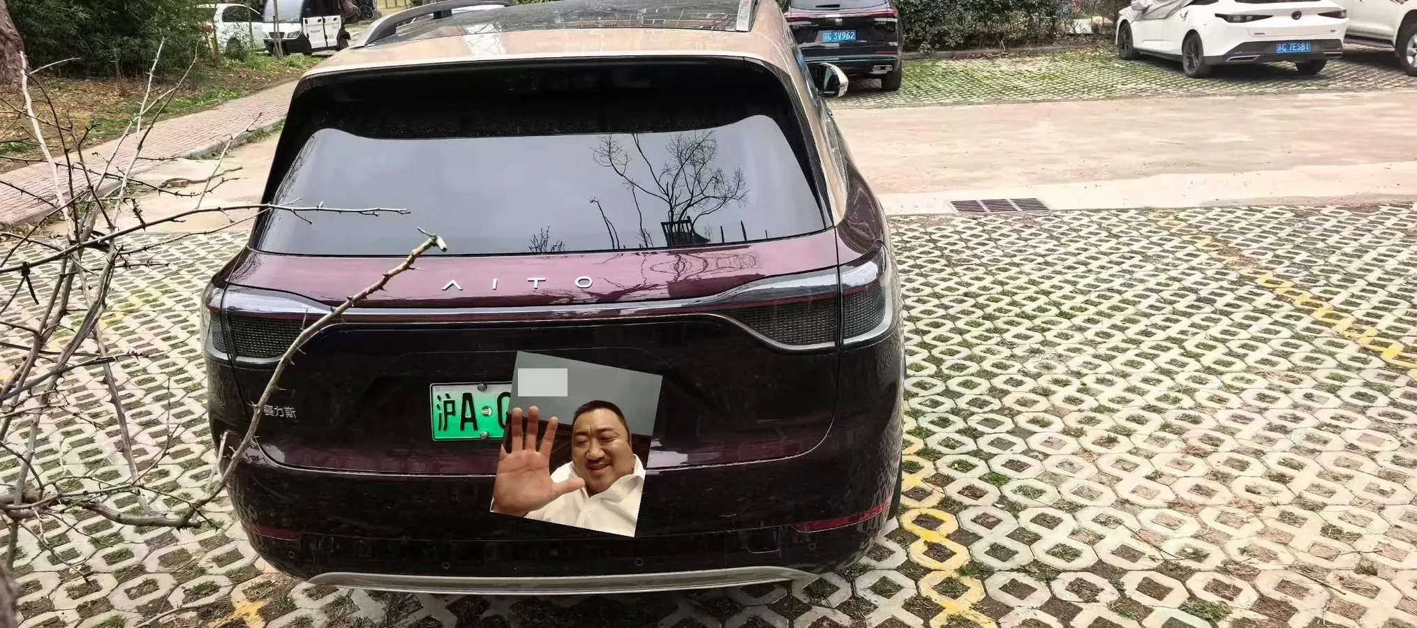 2025 AITO AITO M9 REEV 160HP REEV 52KWH,autocango,china used car exporter,china ev exporter,chinese used car exporter,chinese used ev exporter