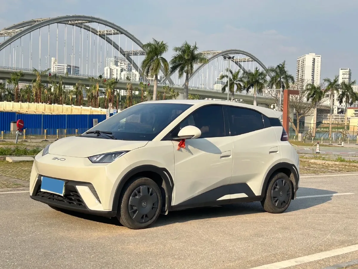 2023 BYD Seagull BEV 30.08KWH,autocango,china used car exporter,china ev exporter,chinese used car exporter,chinese used ev exporter