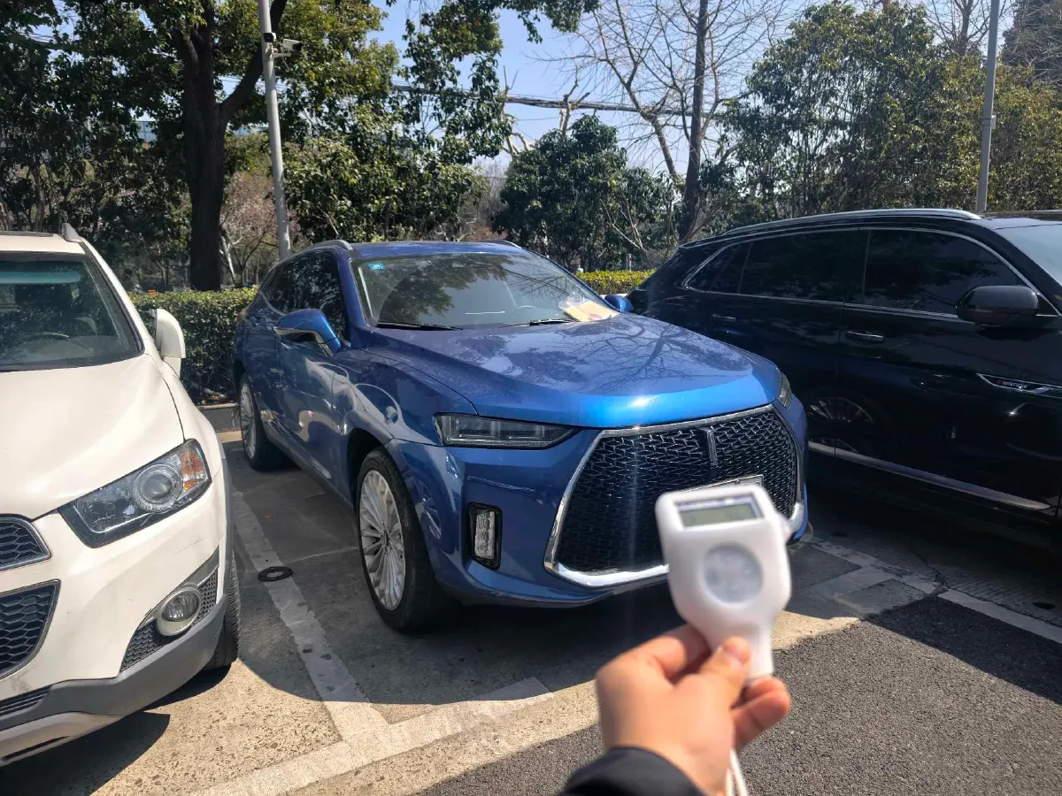 2018 WEY P8 2.0T 234HP L4 6DCT PHEV 12.96KWH,autocango,china used car exporter,china ev exporter,chinese used car exporter,chinese used ev exporter