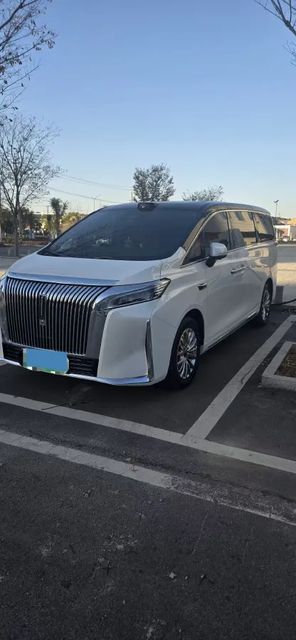 2025 WEY HighMountain 1.5T 170HP L4 4DHT PHEV,autocango,china used car exporter,china ev exporter,chinese used car exporter,chinese used ev exporter