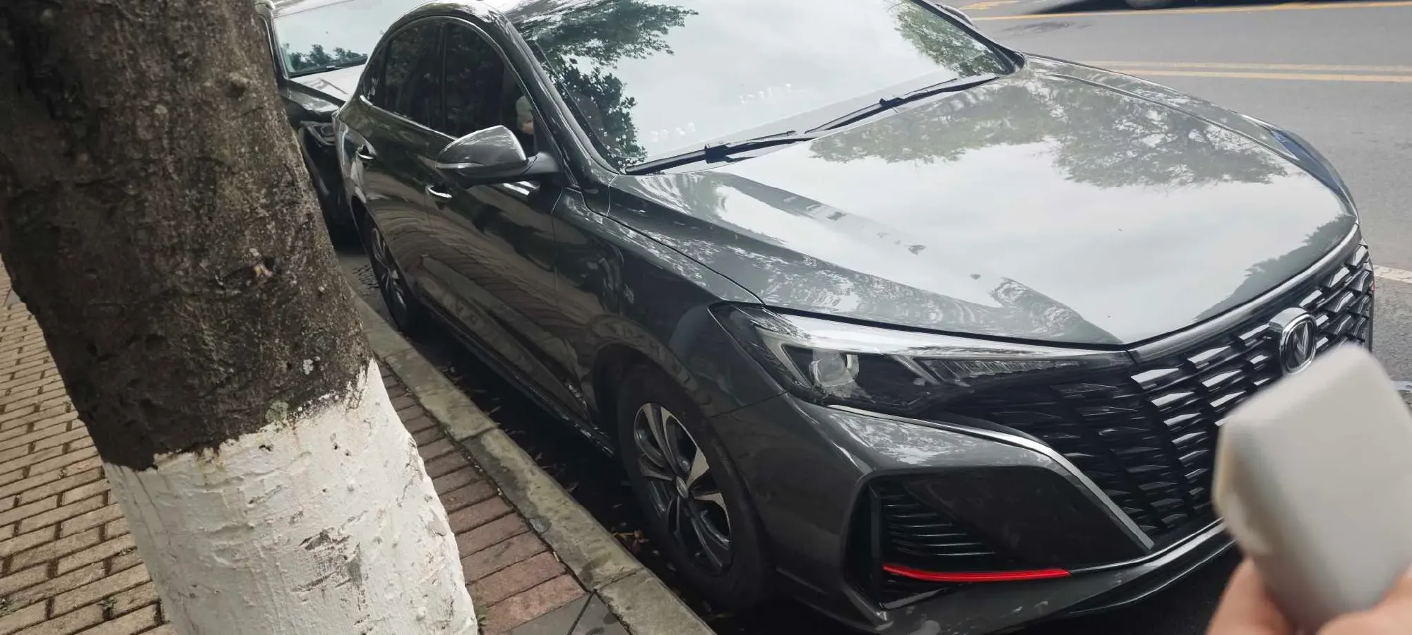 2022 ChangAn Eado 1.4T 160HP L4 7DCT,autocango,china used car exporter,china ev exporter,chinese used car exporter,chinese used ev exporter