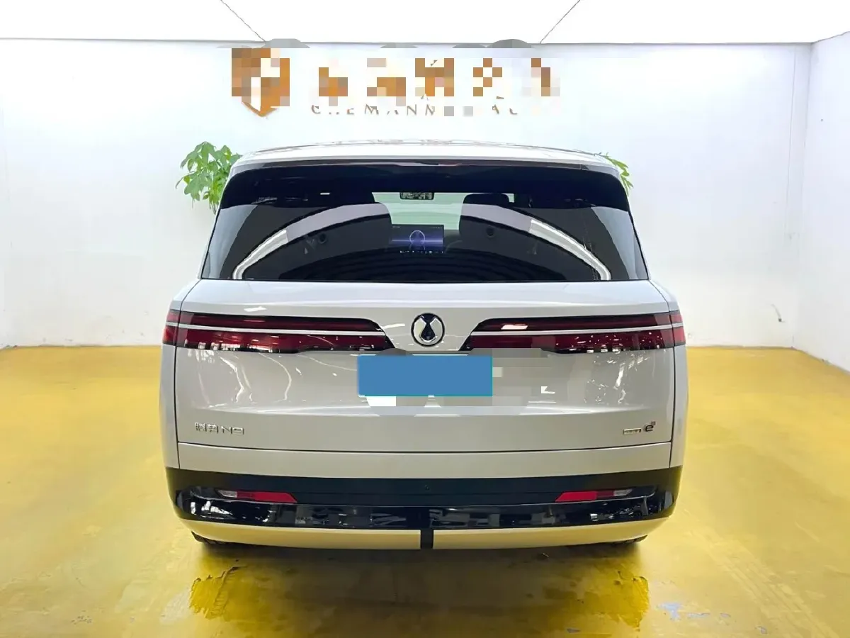 2025 Denza DenzaN9 2.0T 207HP L4 E-CVT PHEV,autocango,china used car exporter,china ev exporter,chinese used car exporter,chinese used ev exporter