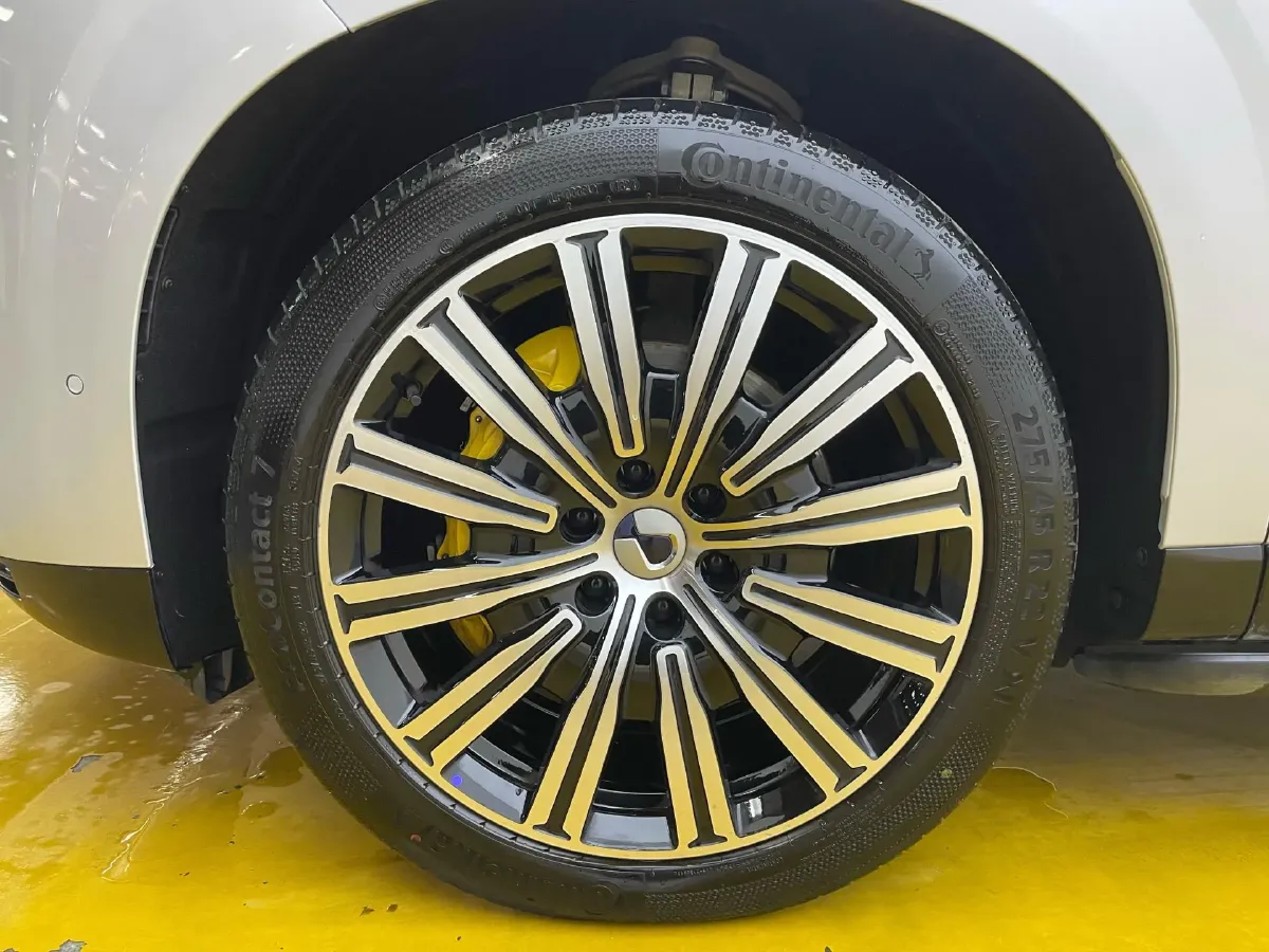 2025 Denza DenzaN9 2.0T 207HP L4 E-CVT PHEV,autocango,china used car exporter,china ev exporter,chinese used car exporter,chinese used ev exporter