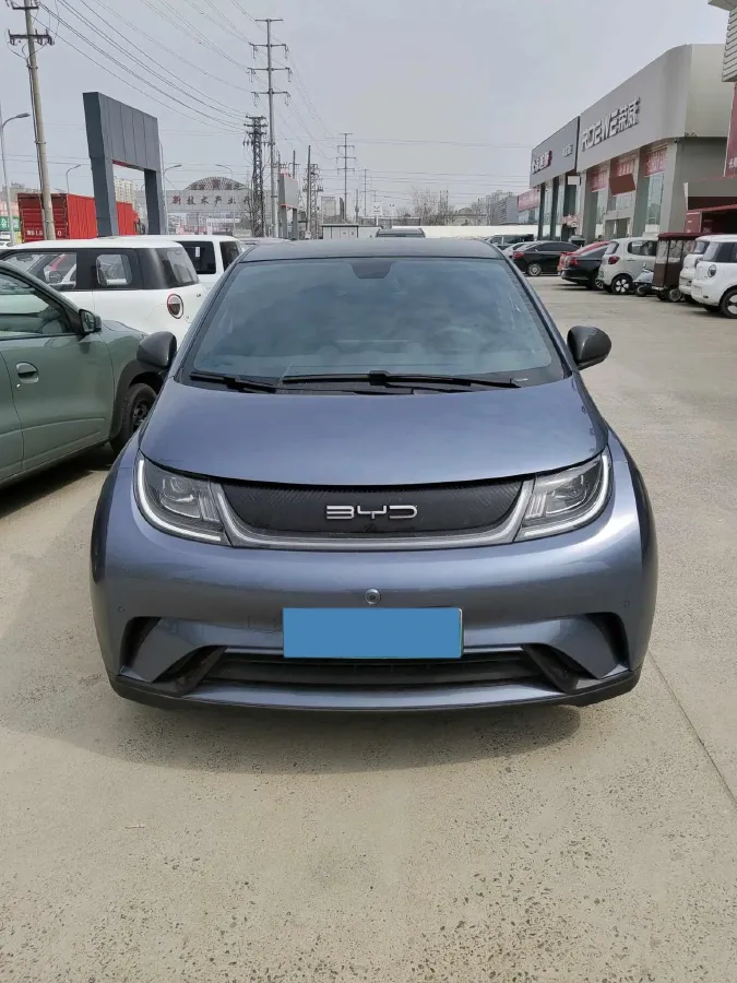2024 BYD Dolphin BEV 44.928KWH,autocango,china used car exporter,china ev exporter,chinese used car exporter,chinese used ev exporter