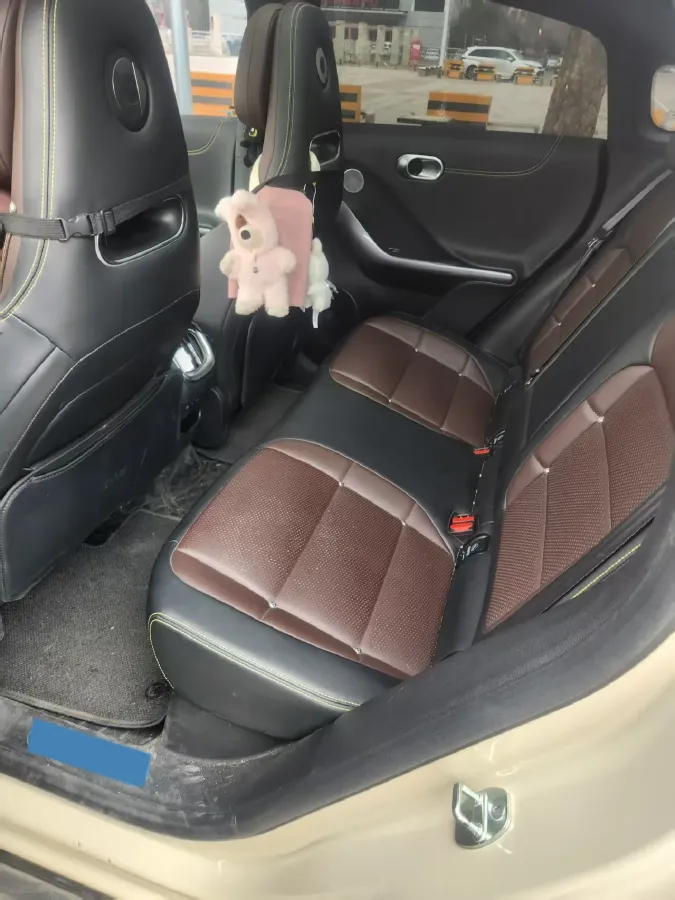 2023 Smart smart Elf 3 BEV 66KWH,autocango,china used car exporter,china ev exporter,chinese used car exporter,chinese used ev exporter