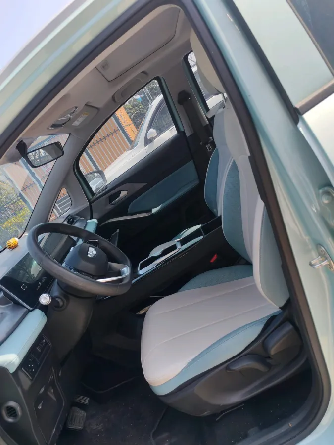 2024 Geometry E BEV 29.67KWH,autocango,china used car exporter,china ev exporter,chinese used car exporter,chinese used ev exporter