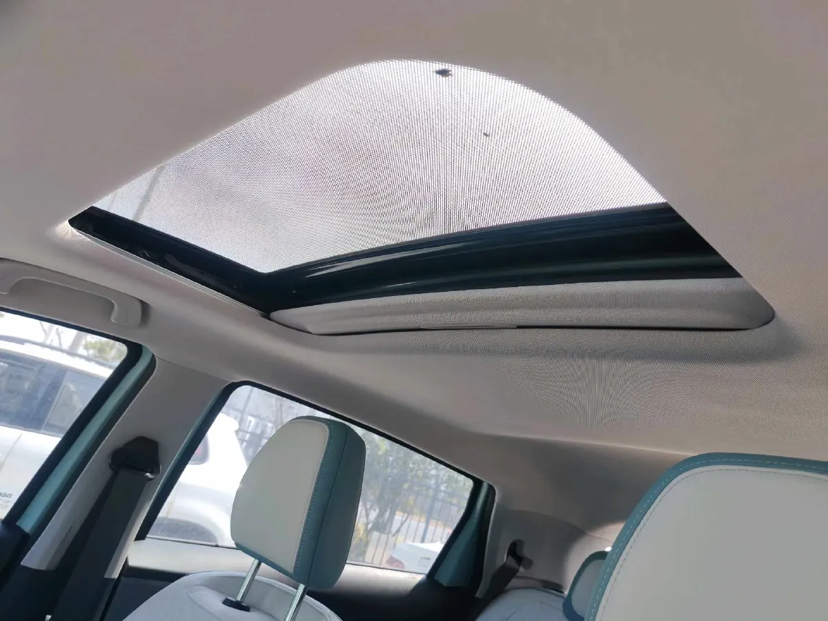 2024 Geometry E BEV 29.67KWH,autocango,china used car exporter,china ev exporter,chinese used car exporter,chinese used ev exporter