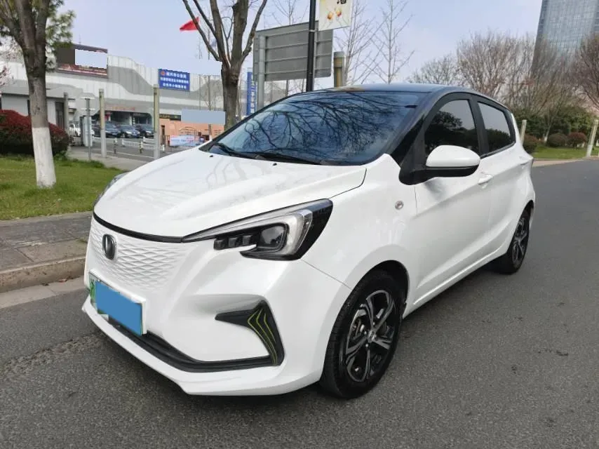 2021 ChangAn BenBen E-Star BEV 32.2KWH,autocango,china used car exporter,china ev exporter,chinese used car exporter,chinese used ev exporter