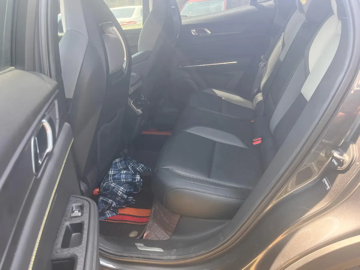 2023 Tank 300 2.0T 227HP L4 8AT,autocango,china used car exporter,china ev exporter,chinese used car exporter,chinese used ev exporter