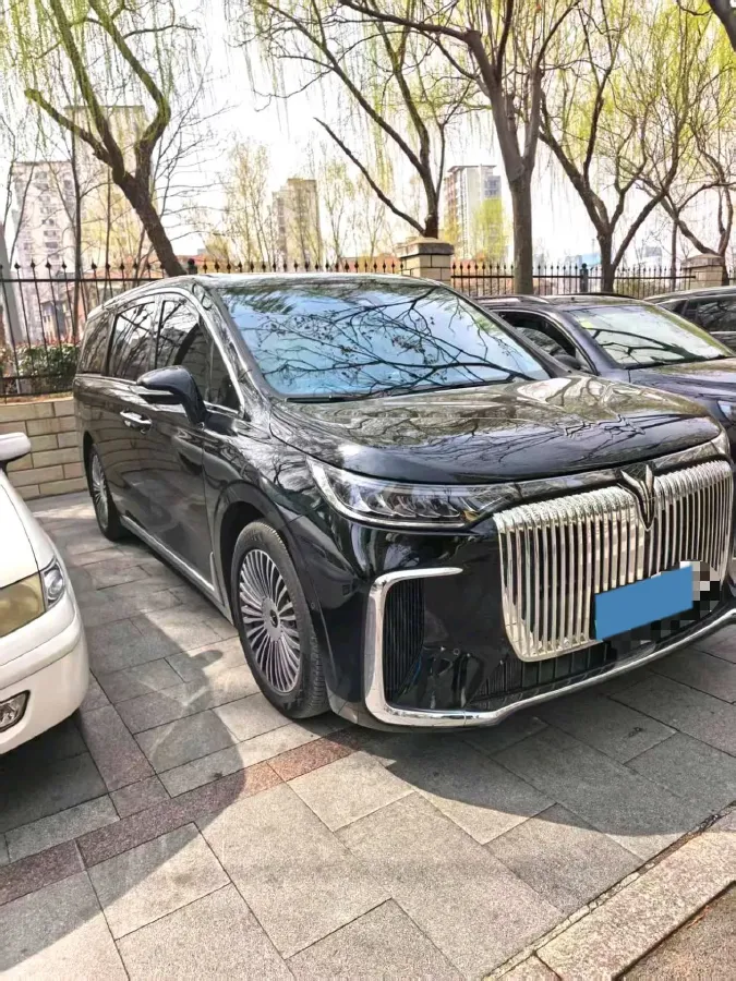2025 Voyah Dream 1.5T 150HP L4 PHEV 41.7KWH,autocango,china used car exporter,china ev exporter,chinese used car exporter,chinese used ev exporter