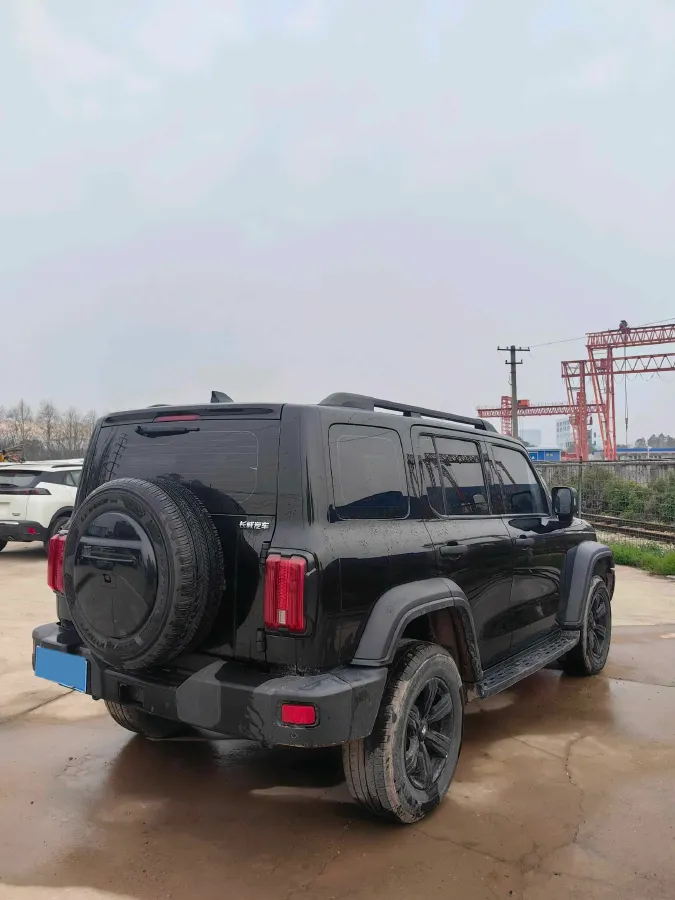 2023 Tank 300 2.0T 227HP L4 8AT,autocango,china used car exporter,china ev exporter,chinese used car exporter,chinese used ev exporter