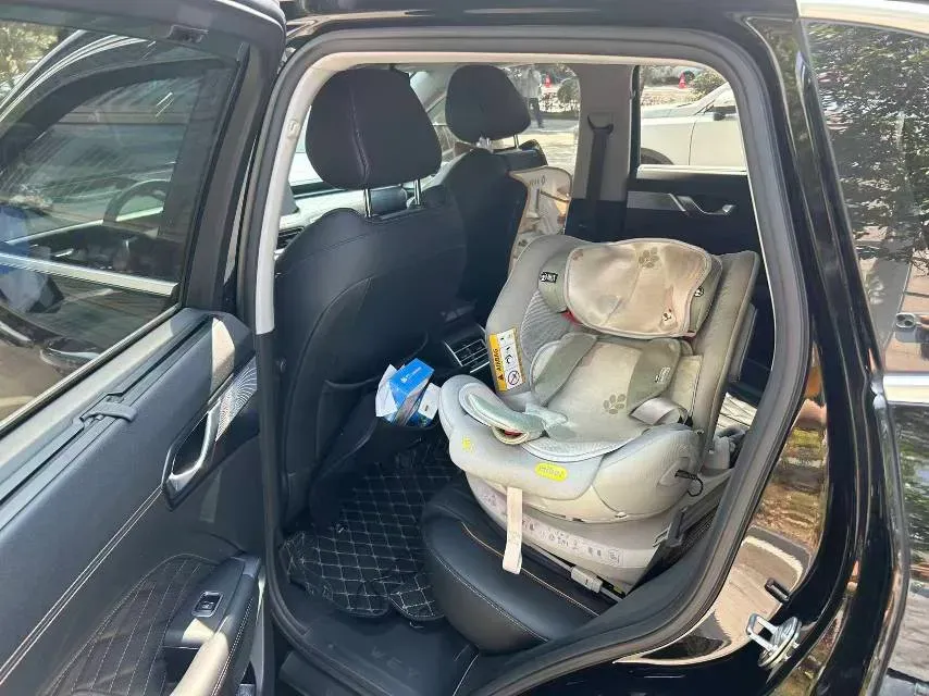 2022 WEY Latte DHT 1.5T 156HP L4 2DHT Hybrid,autocango,china used car exporter,china ev exporter,chinese used car exporter,chinese used ev exporter