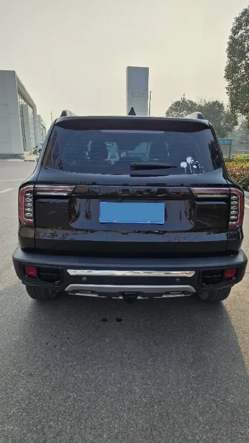 2021 Haval Dargo 2.0T 211HP L4 7DCT,autocango,china used car exporter,china ev exporter,chinese used car exporter,chinese used ev exporter