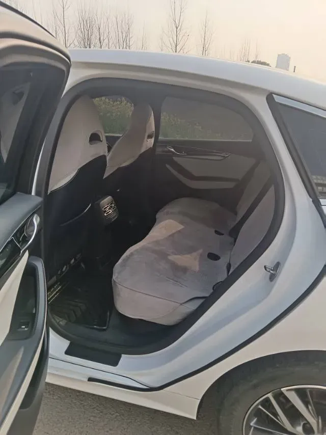 2021 DongFeng FuKang e Elysee BEV 38.4KWH,autocango,china used car exporter,china ev exporter,chinese used car exporter,chinese used ev exporter