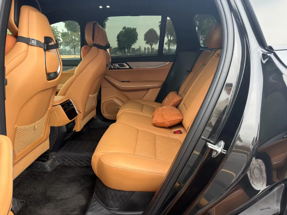 2024 LYNK&CO 09 2.0T 254HP L4 8AT,autocango,china used car exporter,china ev exporter,chinese used car exporter,chinese used ev exporter