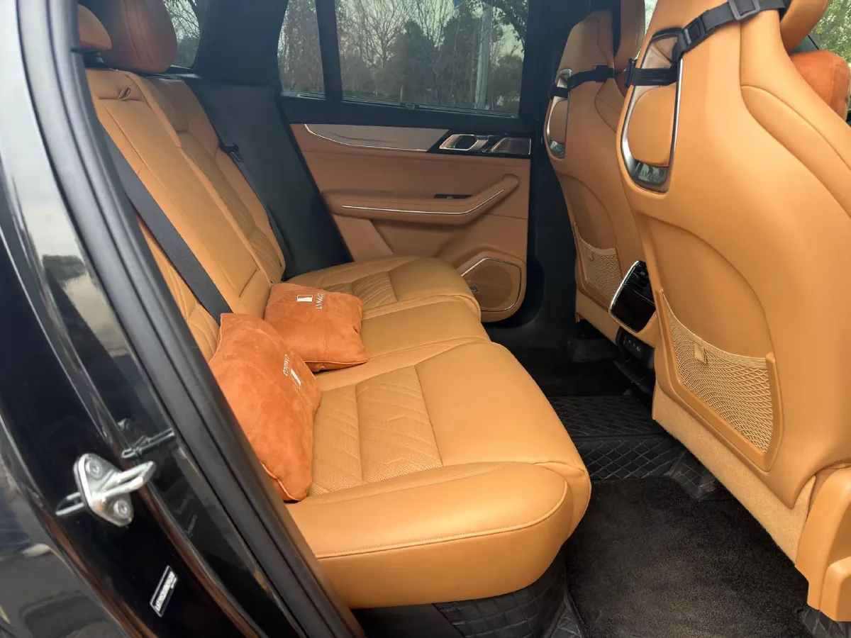 2024 LYNK&CO 09 2.0T 254HP L4 8AT,autocango,china used car exporter,china ev exporter,chinese used car exporter,chinese used ev exporter