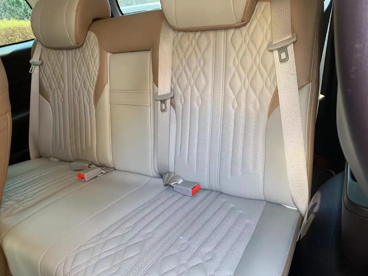 2021 GAC Trumpchi M8 2.0T 252HP L4 8AT,autocango,china used car exporter,china ev exporter,chinese used car exporter,chinese used ev exporter