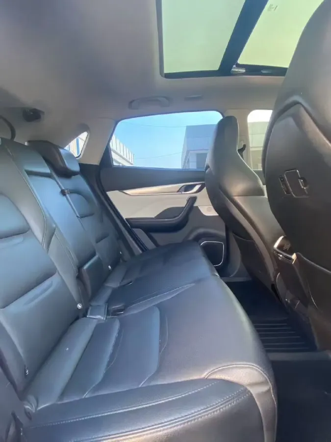 2019 Weltmeister EX5 BEV 69KWH,autocango,china used car exporter,china ev exporter,chinese used car exporter,chinese used ev exporter