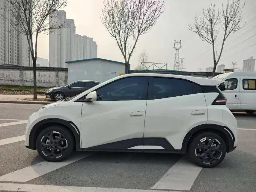2024 BYD Seagull BEV 30.08KWH,autocango,china used car exporter,china ev exporter,chinese used car exporter,chinese used ev exporter