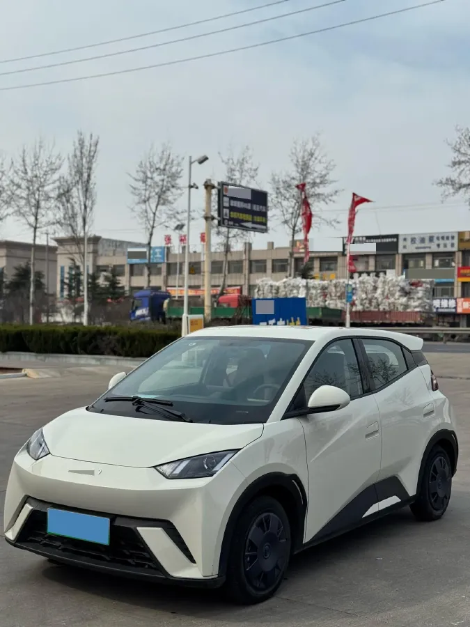 2025 BYD Seagull BEV 30.08KWH,autocango,china used car exporter,china ev exporter,chinese used car exporter,chinese used ev exporter