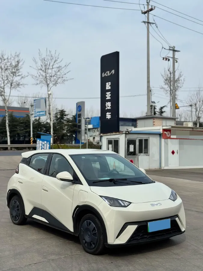 2025 BYD Seagull BEV 30.08KWH,autocango,china used car exporter,china ev exporter,chinese used car exporter,chinese used ev exporter
