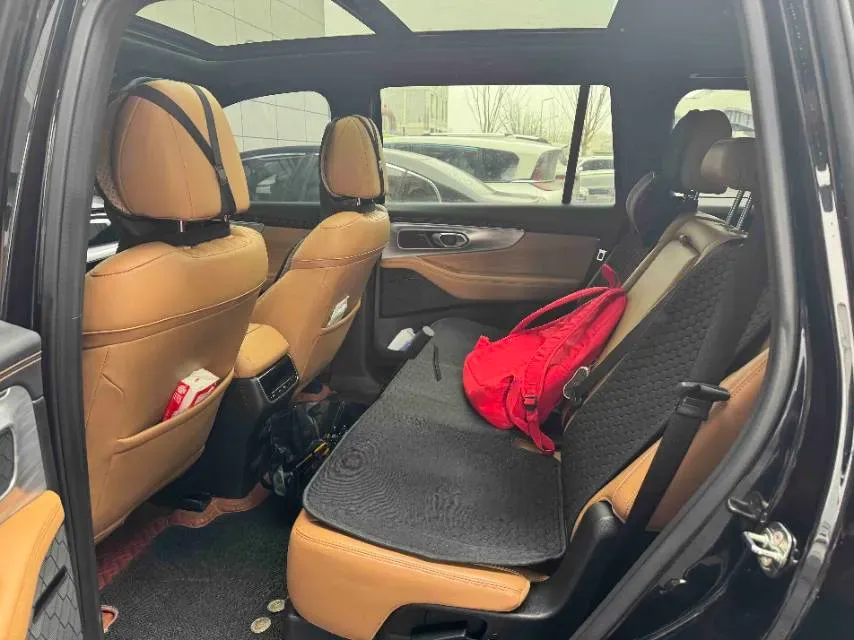 2022 GAC Trumpchi GS8 2.0T 252HP L4 8AT,autocango,china used car exporter,china ev exporter,chinese used car exporter,chinese used ev exporter