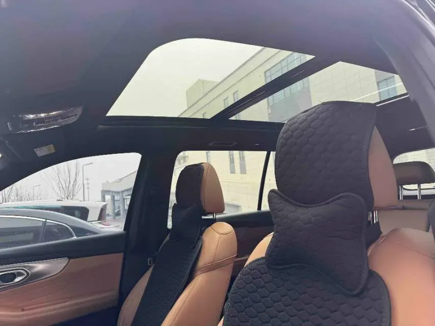 2022 GAC Trumpchi GS8 2.0T 252HP L4 8AT,autocango,china used car exporter,china ev exporter,chinese used car exporter,chinese used ev exporter