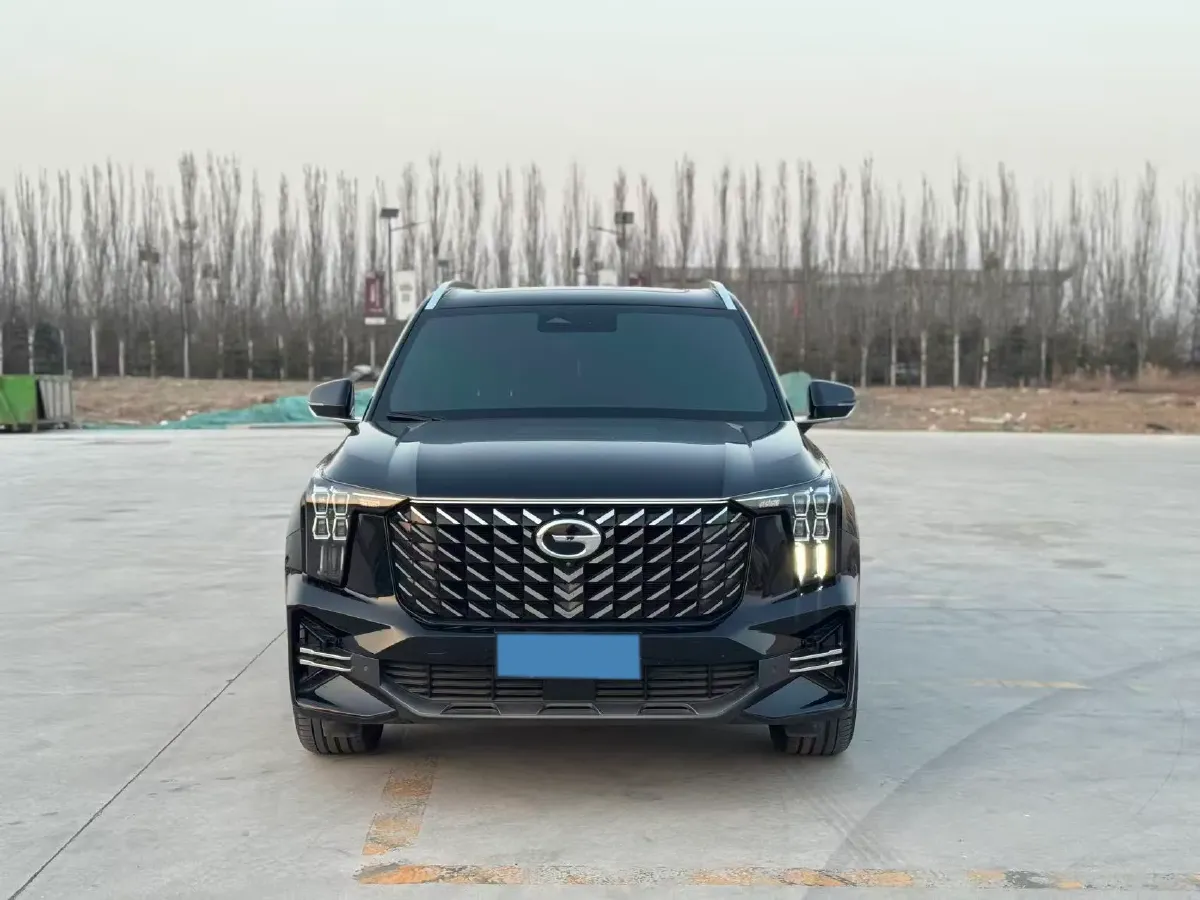 2022 GAC Trumpchi GS8 2.0T 252HP L4 8AT,autocango,china used car exporter,china ev exporter,chinese used car exporter,chinese used ev exporter