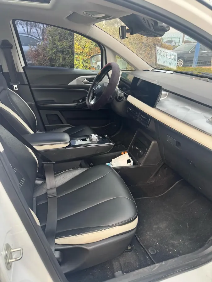 2022 Geometry E BEV 39.4KWH,autocango,china used car exporter,china ev exporter,chinese used car exporter,chinese used ev exporter