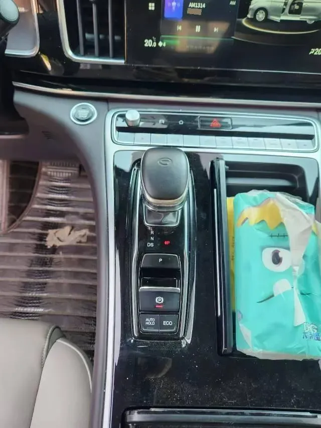 2021 GAC Trumpchi M8 2.0T 252HP L4 8AT,autocango,china used car exporter,china ev exporter,chinese used car exporter,chinese used ev exporter