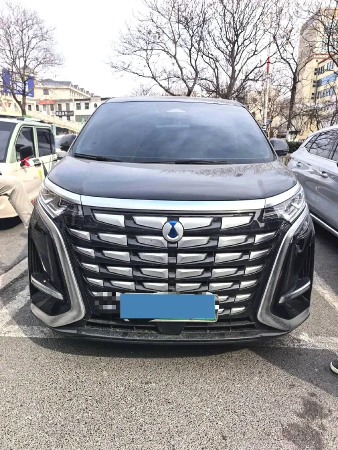 2024 Denza D9 1.5T 139HP L4 E-CVT PHEV 20.39KWH,autocango,china used car exporter,china ev exporter,chinese used car exporter,chinese used ev exporter
