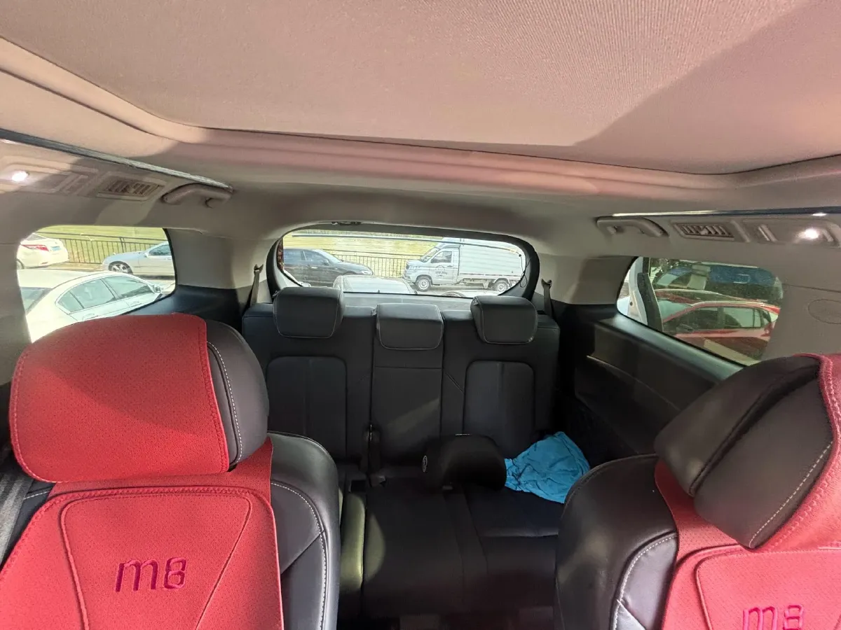 2023 GAC Trumpchi M8 2.0T 252HP L4 8AT,autocango,china used car exporter,china ev exporter,chinese used car exporter,chinese used ev exporter