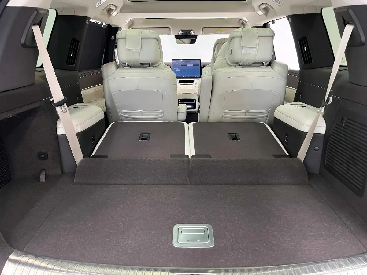 2025 Denza DenzaN9 2.0T 207HP L4 E-CVT PHEV,autocango,china used car exporter,china ev exporter,chinese used car exporter,chinese used ev exporter