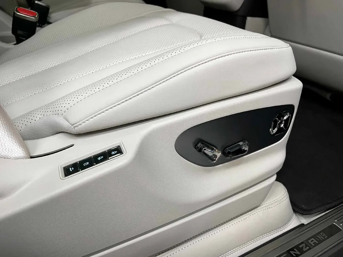 2025 Denza DenzaN9 2.0T 207HP L4 E-CVT PHEV,autocango,china used car exporter,china ev exporter,chinese used car exporter,chinese used ev exporter