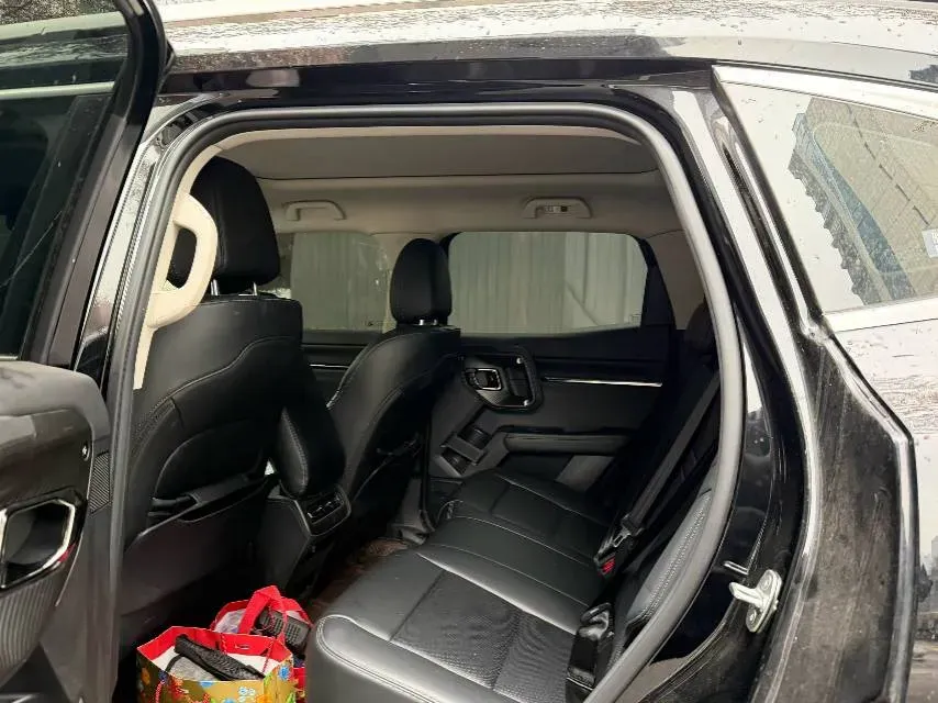 2023 Haval Dargo PLUS 2.0T 238HP L4 9DCT,autocango,china used car exporter,china ev exporter,chinese used car exporter,chinese used ev exporter