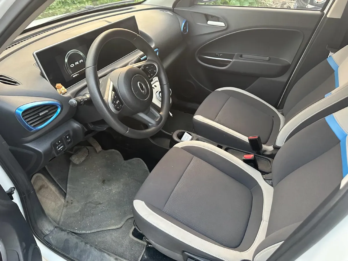 2020 Ora WhiteCat BEV 29.4KWH,autocango,china used car exporter,china ev exporter,chinese used car exporter,chinese used ev exporter