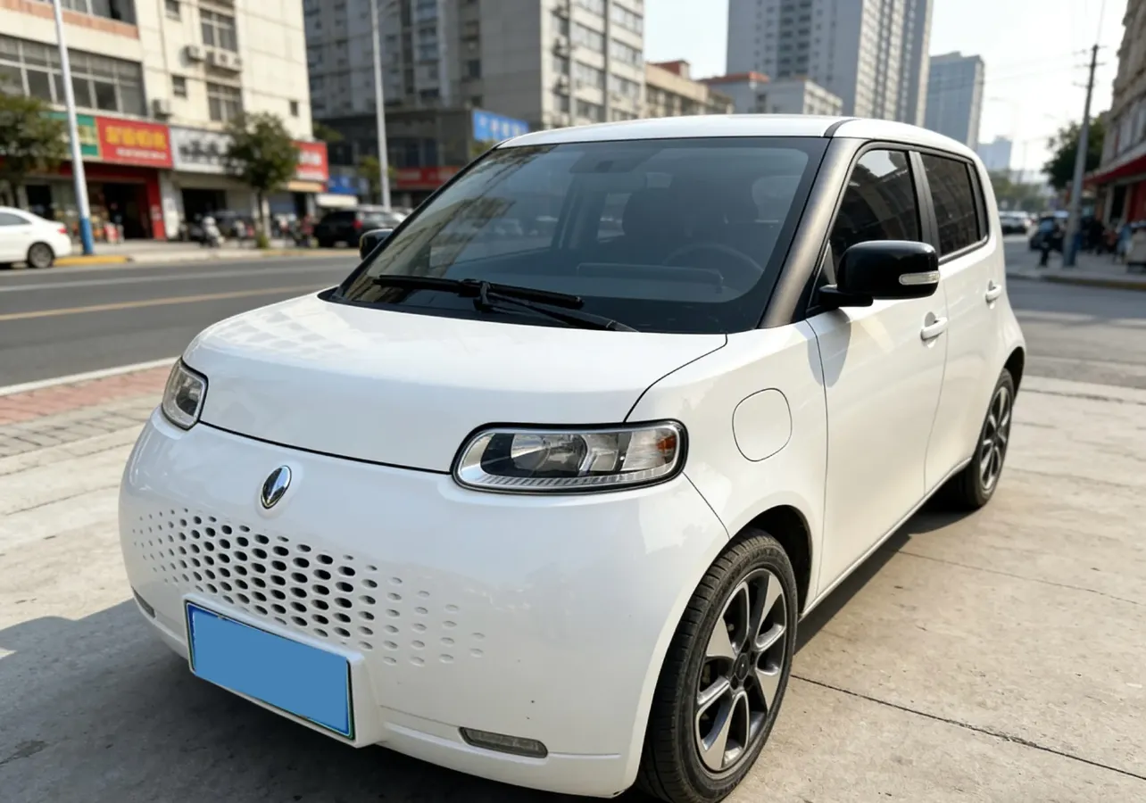 2020 Ora WhiteCat BEV 29.4KWH,autocango,china used car exporter,china ev exporter,chinese used car exporter,chinese used ev exporter
