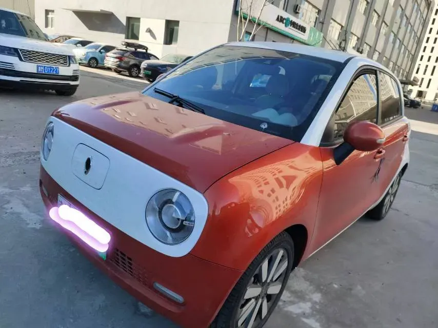 2021 Ora BlackCat BEV 33KWH,autocango,china used car exporter,china ev exporter,chinese used car exporter,chinese used ev exporter