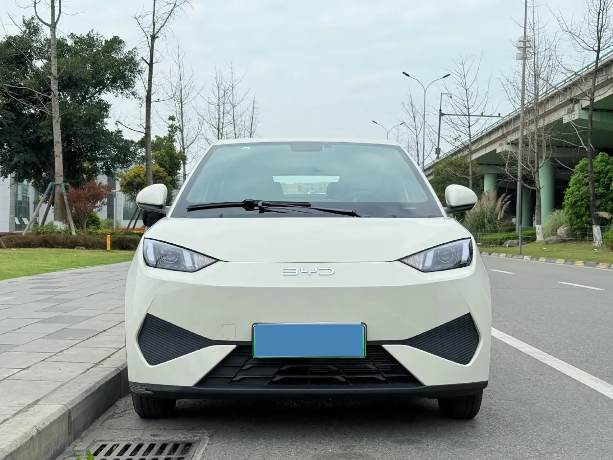 2025 BYD Seagull BEV 30.08KWH,autocango,china used car exporter,china ev exporter,chinese used car exporter,chinese used ev exporter