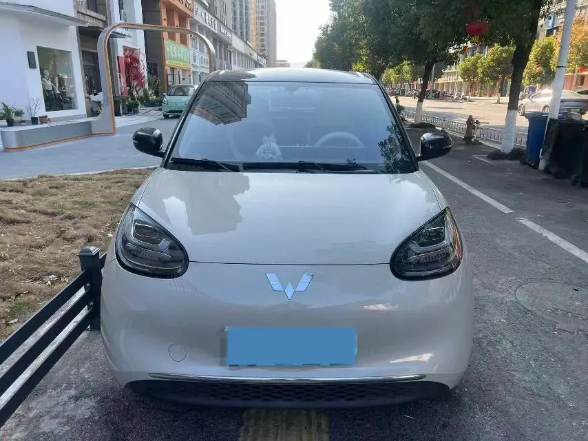 2024 WuLing BinGuo BEV 31.9KWH,autocango,china used car exporter,china ev exporter,chinese used car exporter,chinese used ev exporter