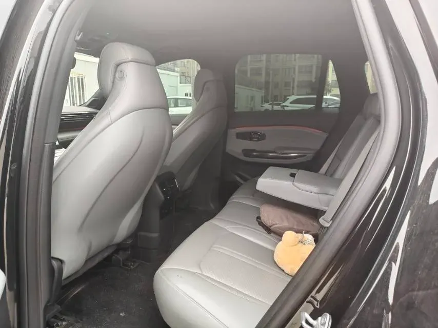 2020 Lexus NX 2.5L 155HP L4 E-CVT Hybrid,autocango,china used car exporter,china ev exporter,chinese used car exporter,chinese used ev exporter