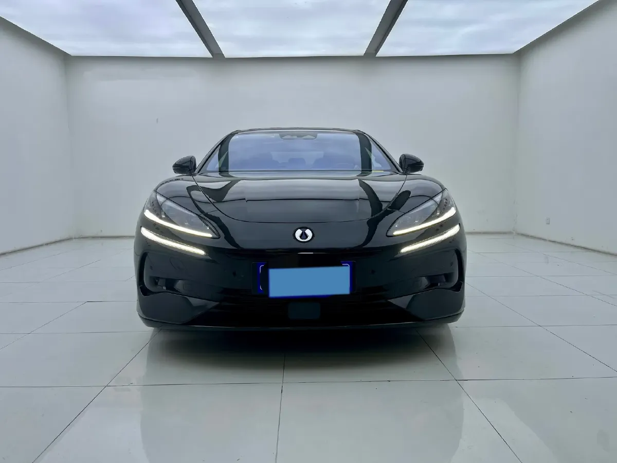 2024 Denza DenzaZ9 2.0T 207HP L4 E-CVT PHEV 38.5KWH,autocango,china used car exporter,china ev exporter,chinese used car exporter,chinese used ev exporter