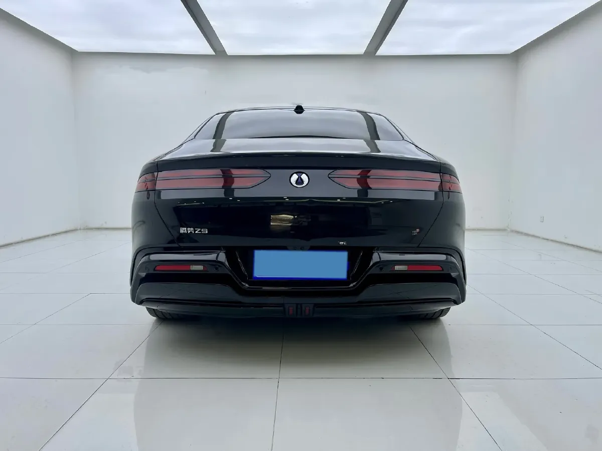 2024 Denza DenzaZ9 2.0T 207HP L4 E-CVT PHEV 38.5KWH,autocango,china used car exporter,china ev exporter,chinese used car exporter,chinese used ev exporter