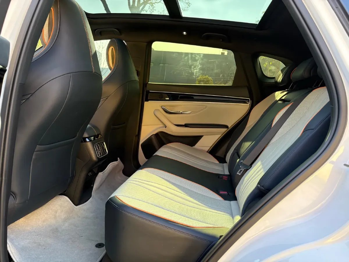 2021 SRM Sea Lion EV BEV 41.86KWH,autocango,china used car exporter,china ev exporter,chinese used car exporter,chinese used ev exporter