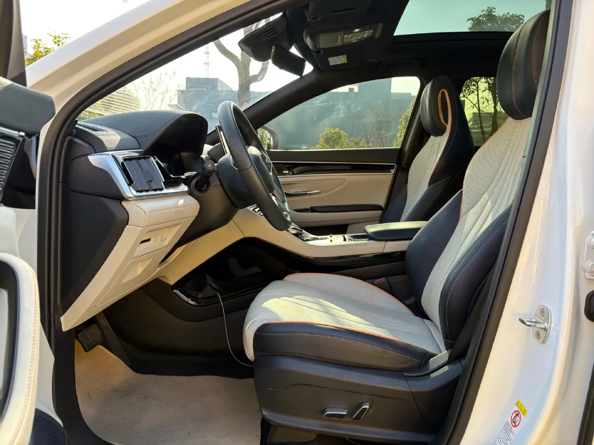 2021 SRM Sea Lion EV BEV 41.86KWH,autocango,china used car exporter,china ev exporter,chinese used car exporter,chinese used ev exporter