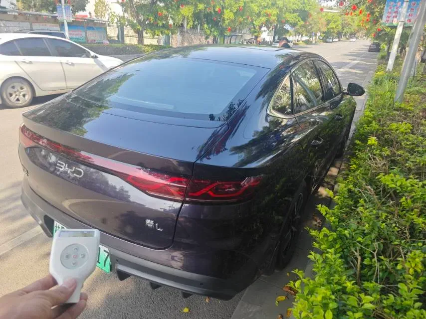 2024 BYD QinL 1.5L 101HP L4 E-CVT PHEV 15.87KWH,autocango,china used car exporter,china ev exporter,chinese used car exporter,chinese used ev exporter