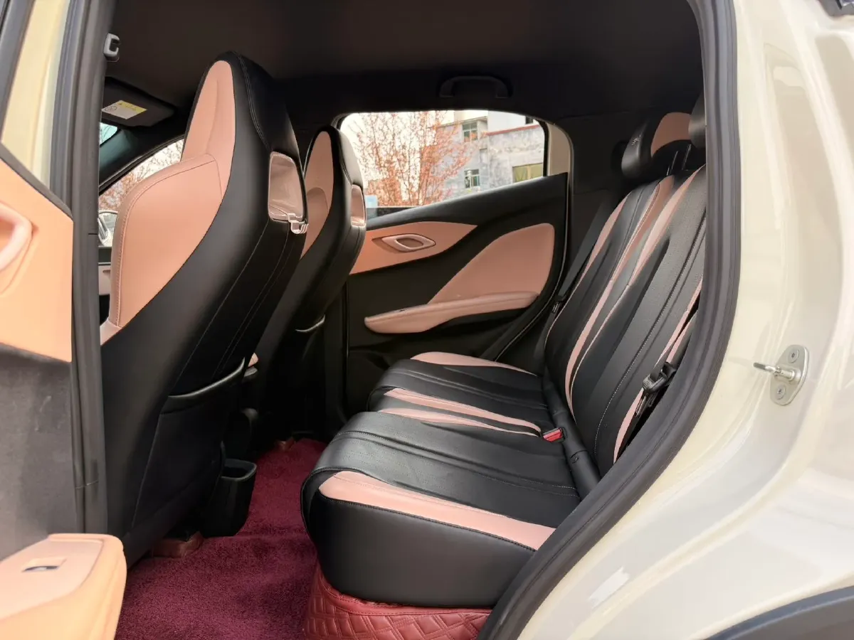 2023 BYD Seagull BEV 30.08KWH,autocango,china used car exporter,china ev exporter,chinese used car exporter,chinese used ev exporter