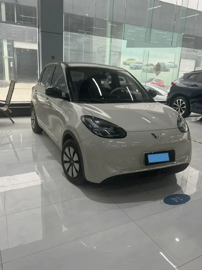 2025 WuLing BinGuo BEV,autocango,china used car exporter,china ev exporter,chinese used car exporter,chinese used ev exporter